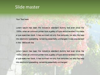 Flower Basket PowerPoint Template