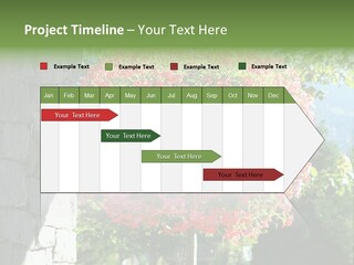 Flower Basket PowerPoint Template