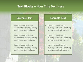 Flower Basket PowerPoint Template