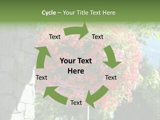 Flower Basket PowerPoint Template