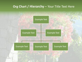 Flower Basket PowerPoint Template