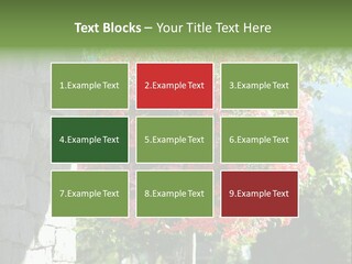 Flower Basket PowerPoint Template