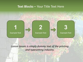 Flower Basket PowerPoint Template