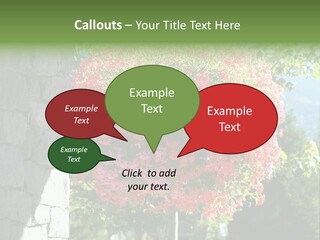 Flower Basket PowerPoint Template