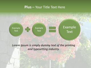 Flower Basket PowerPoint Template