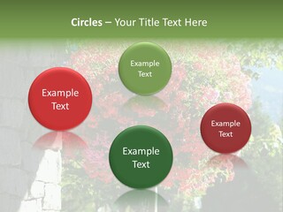 Flower Basket PowerPoint Template