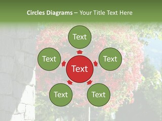 Flower Basket PowerPoint Template