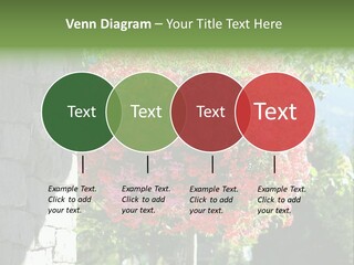 Flower Basket PowerPoint Template