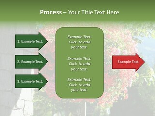 Flower Basket PowerPoint Template