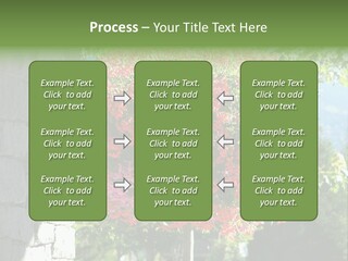 Flower Basket PowerPoint Template
