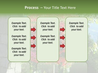 Flower Basket PowerPoint Template