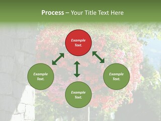 Flower Basket PowerPoint Template