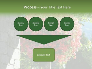 Flower Basket PowerPoint Template