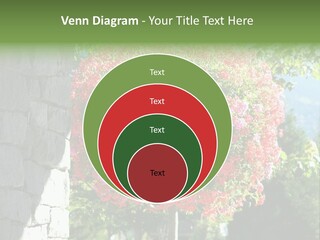 Flower Basket PowerPoint Template