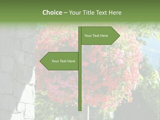 Flower Basket PowerPoint Template