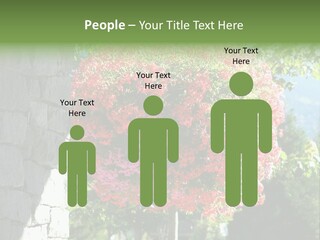 Flower Basket PowerPoint Template