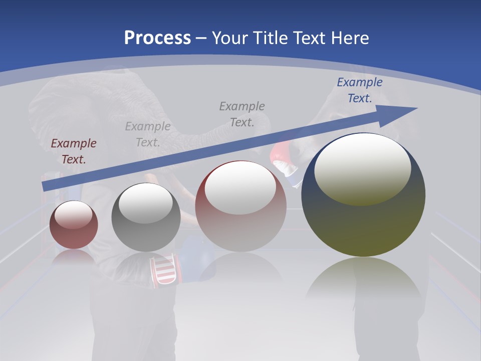 Us Republican And Democrat Mascots Represented By A Donkey And An Elephant Face Off In A Boxing Ring In Business Suits With Red White And Blue Boxing Gloves. PowerPoint Template