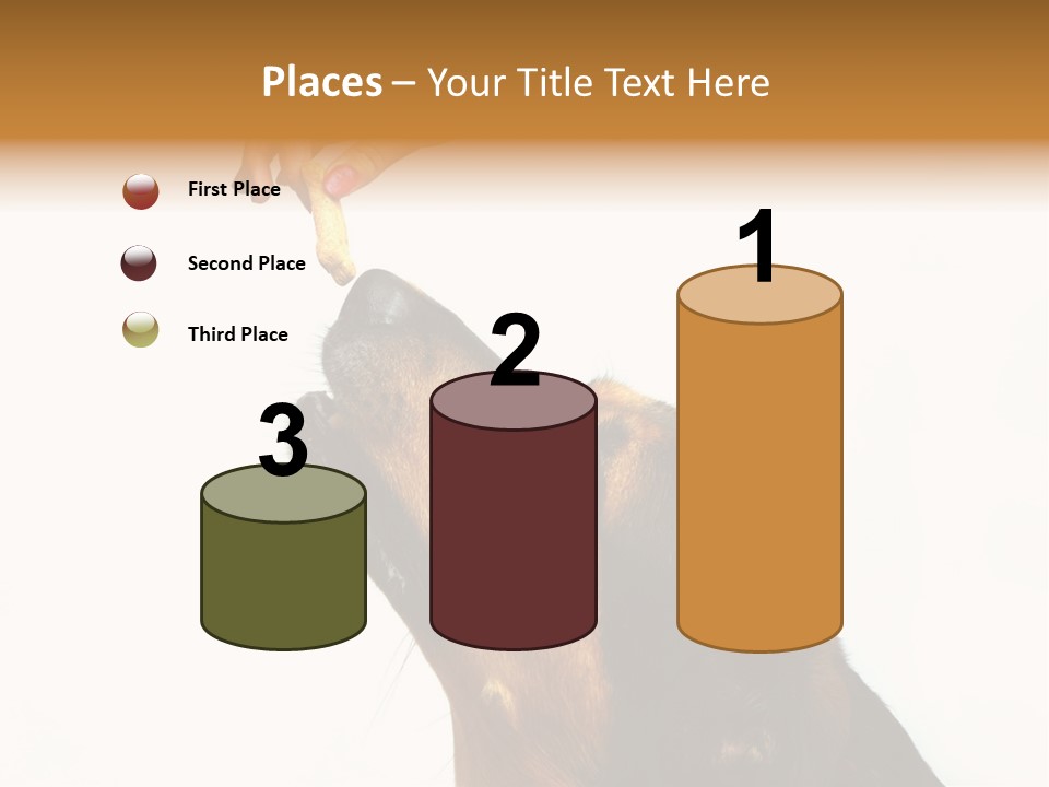 Beauty And The Beast PowerPoint Template