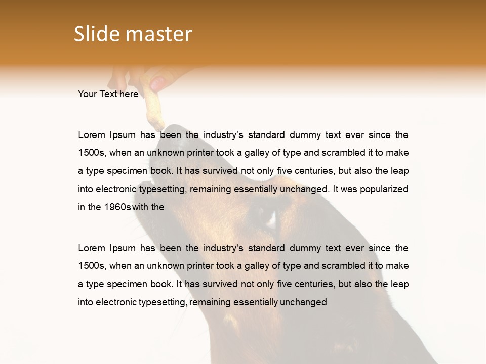 Beauty And The Beast PowerPoint Template