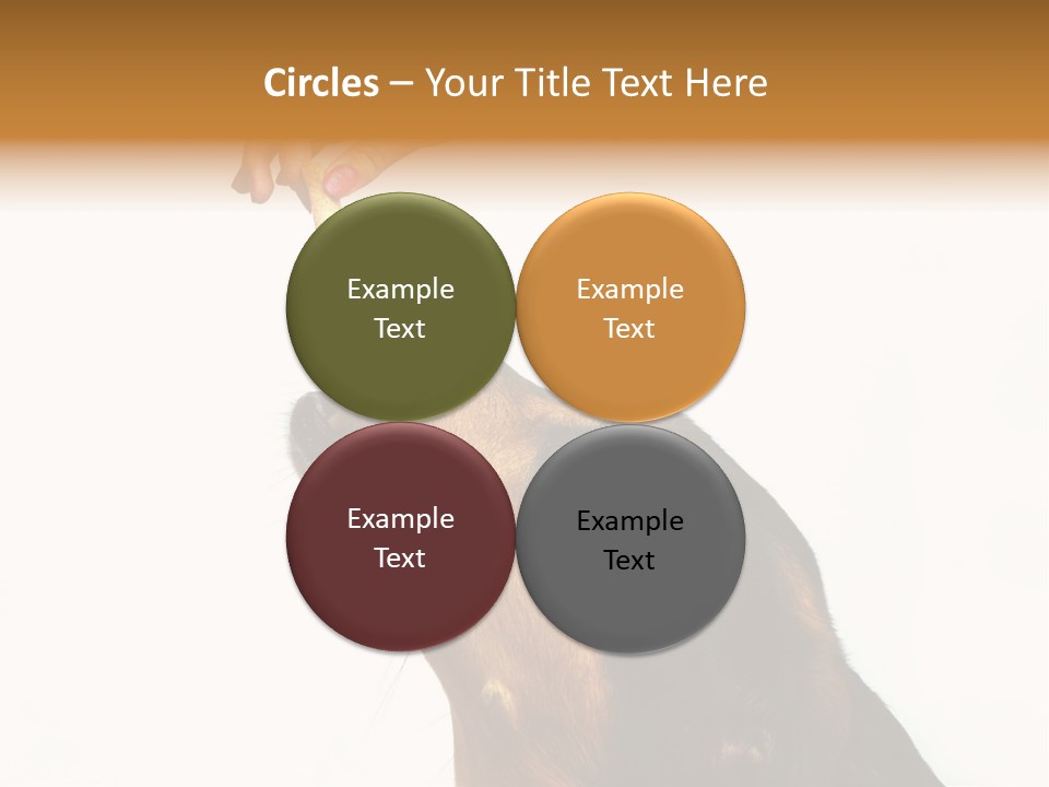 Beauty And The Beast PowerPoint Template