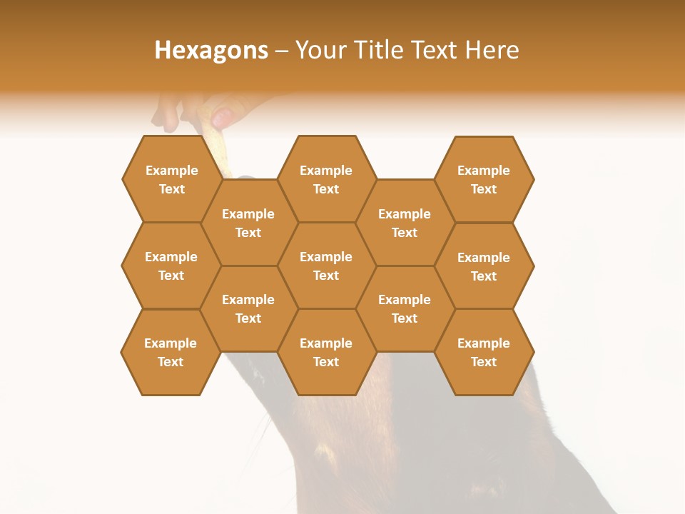 Beauty And The Beast PowerPoint Template