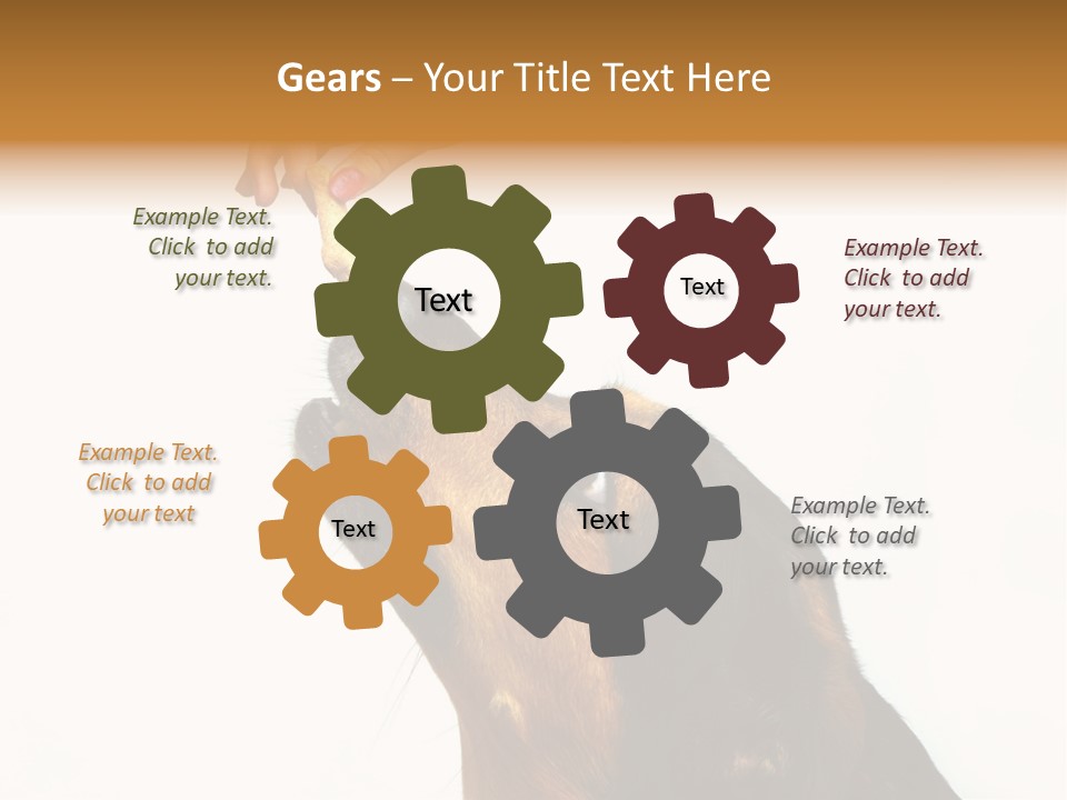 Beauty And The Beast PowerPoint Template