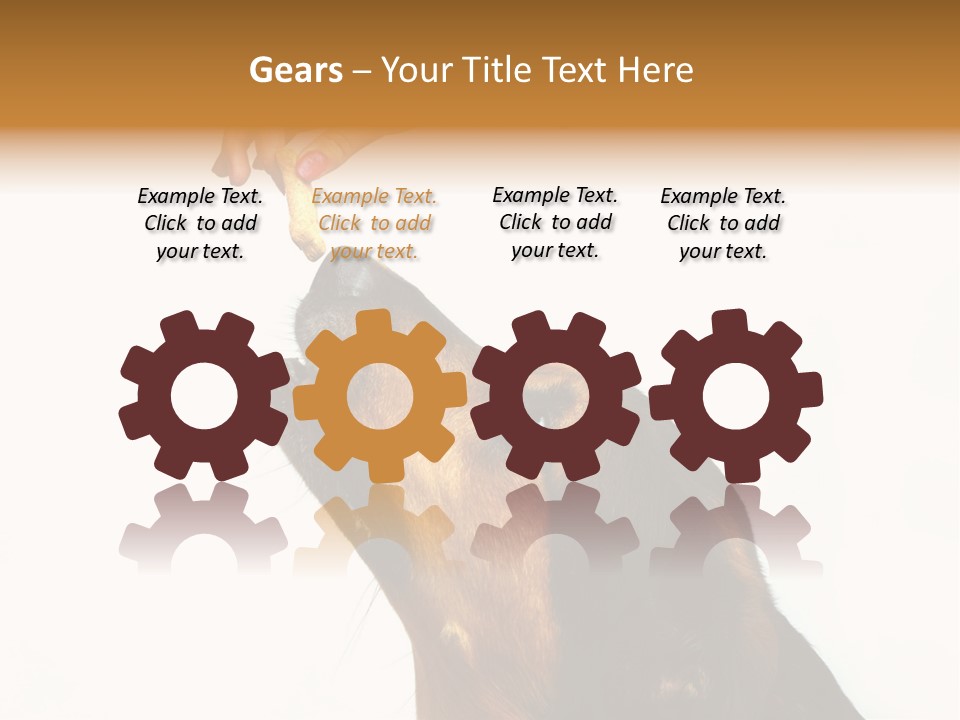 Beauty And The Beast PowerPoint Template