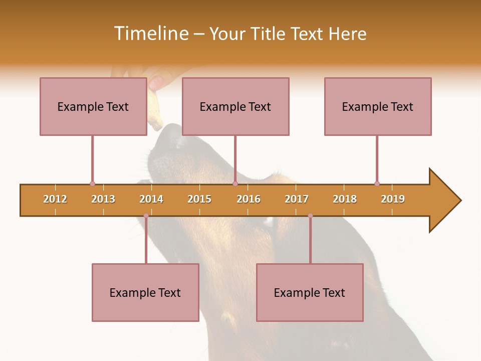 Beauty And The Beast PowerPoint Template