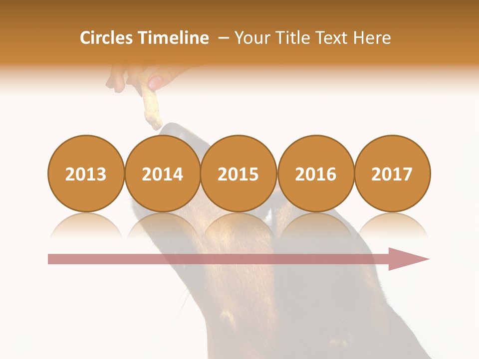 Beauty And The Beast PowerPoint Template