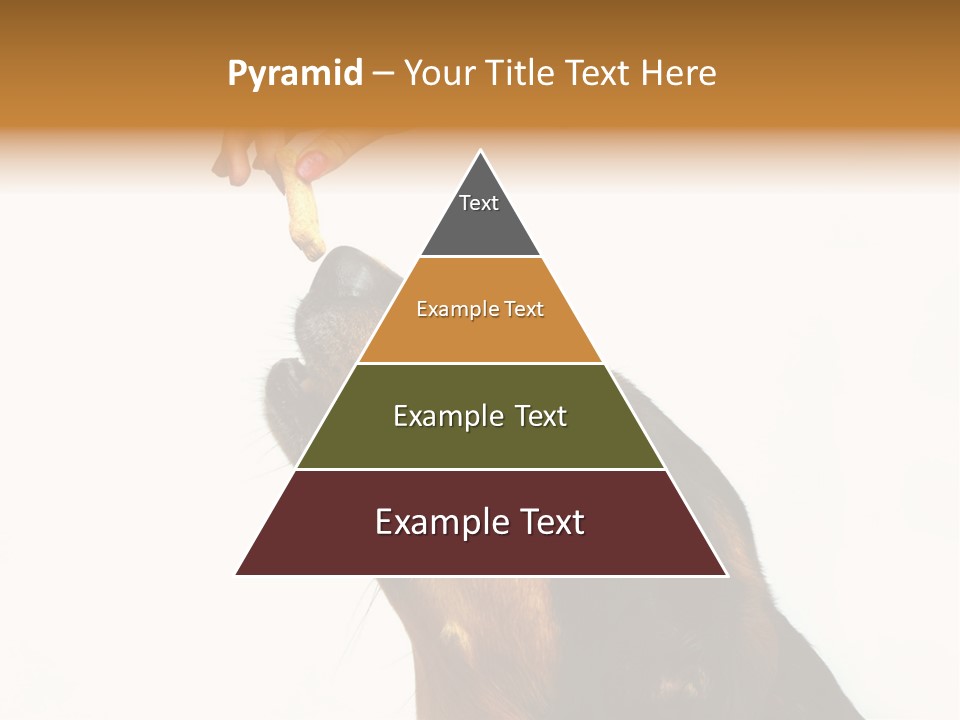 Beauty And The Beast PowerPoint Template