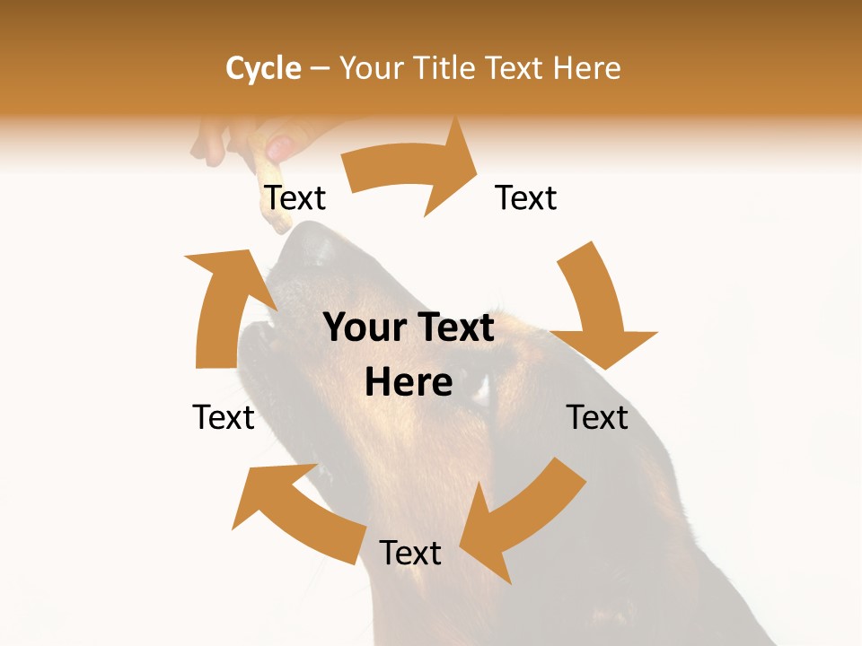 Beauty And The Beast PowerPoint Template