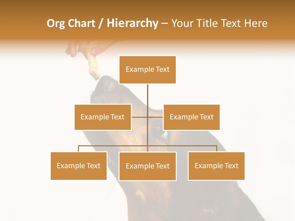 Beauty And The Beast PowerPoint Template