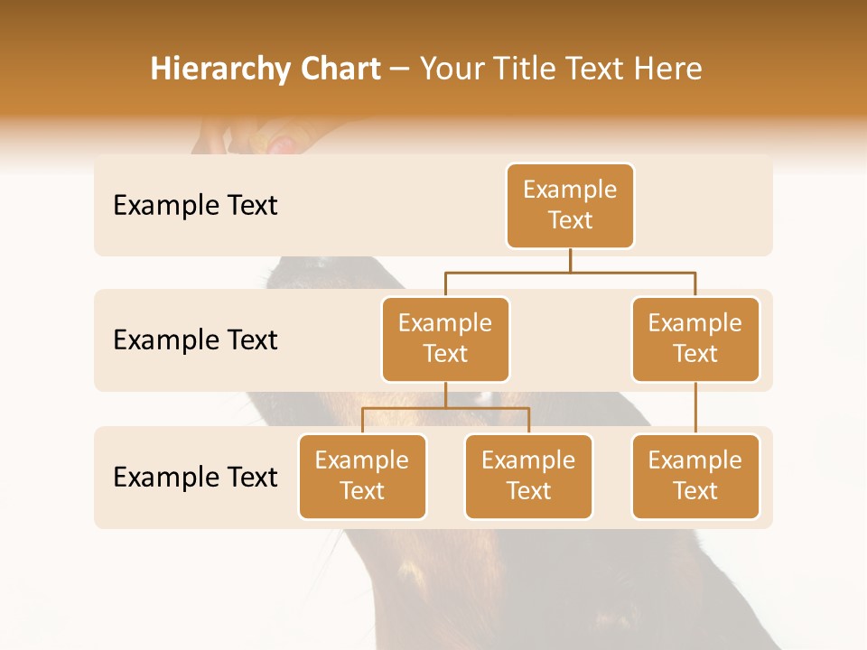 Beauty And The Beast PowerPoint Template