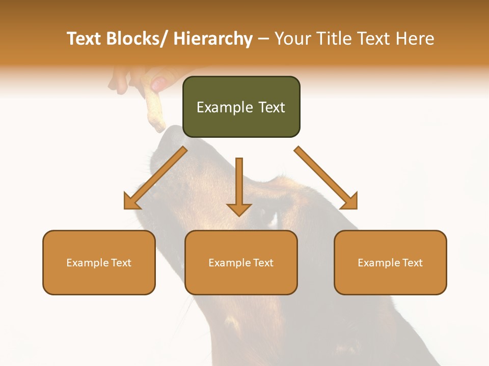 Beauty And The Beast PowerPoint Template