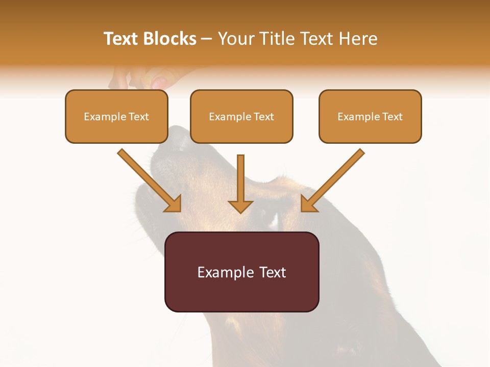 Beauty And The Beast PowerPoint Template