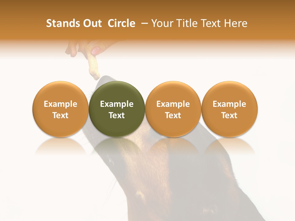 Beauty And The Beast PowerPoint Template