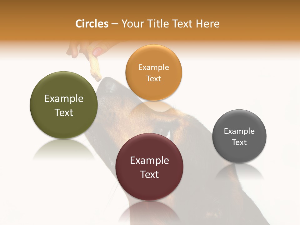 Beauty And The Beast PowerPoint Template