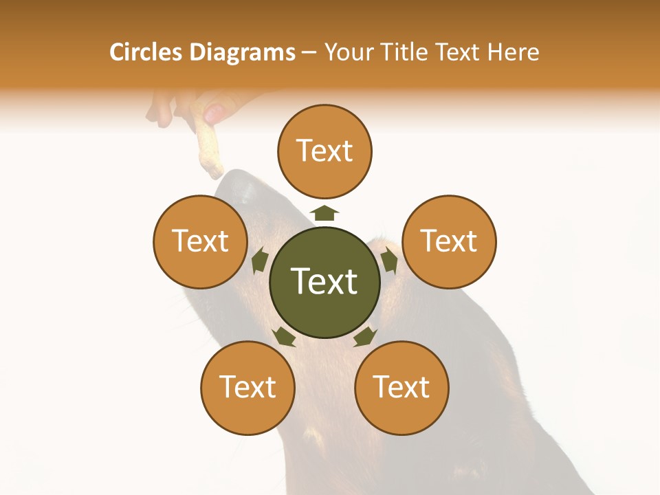 Beauty And The Beast PowerPoint Template