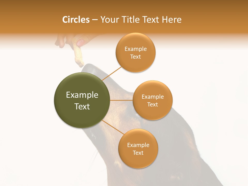 Beauty And The Beast PowerPoint Template