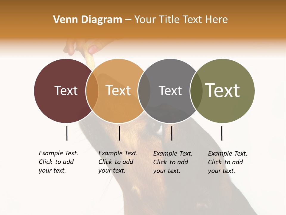 Beauty And The Beast PowerPoint Template