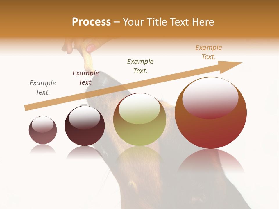 Beauty And The Beast PowerPoint Template