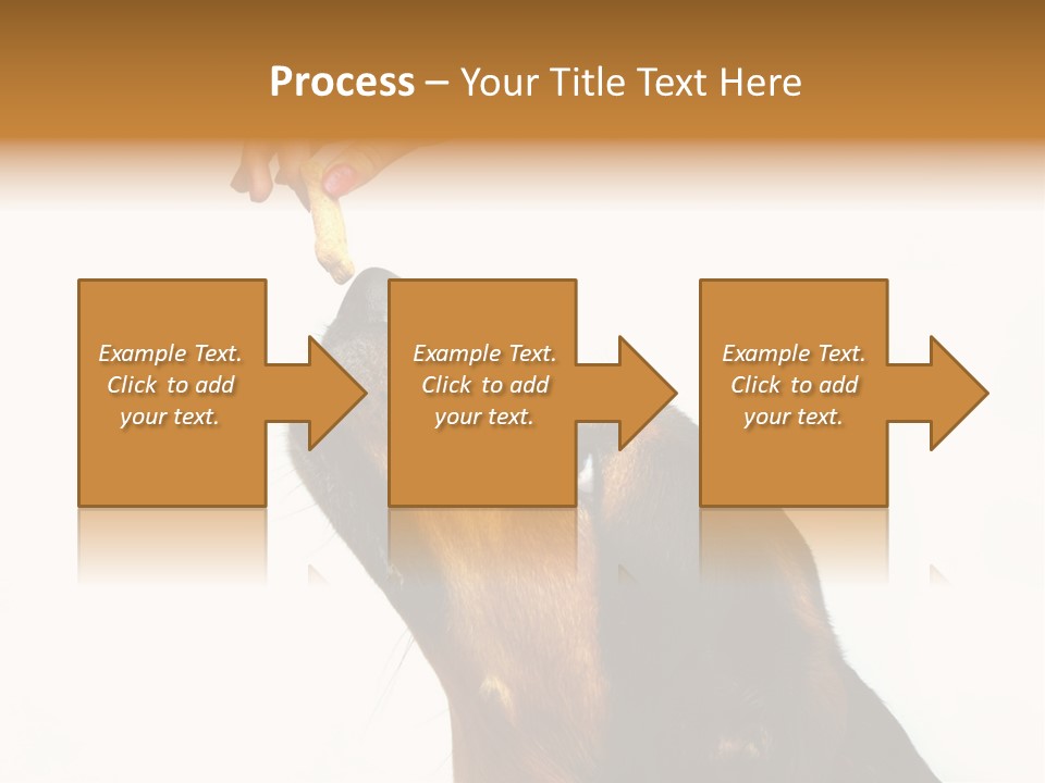 Beauty And The Beast PowerPoint Template