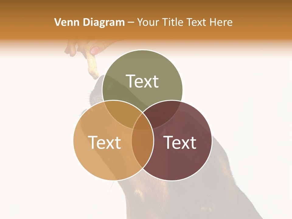 Beauty And The Beast PowerPoint Template