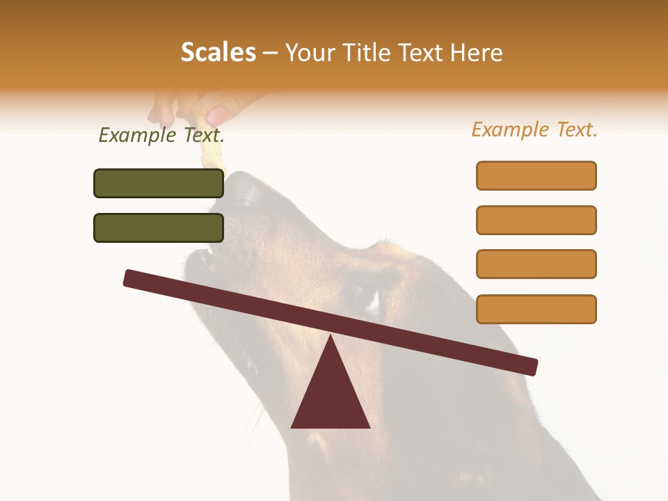 Beauty And The Beast PowerPoint Template