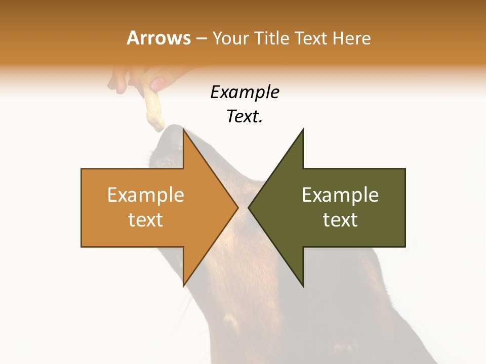 Beauty And The Beast PowerPoint Template