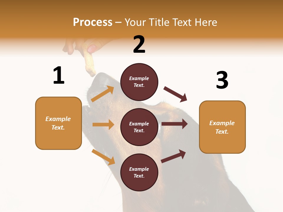 Beauty And The Beast PowerPoint Template