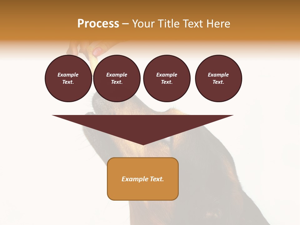 Beauty And The Beast PowerPoint Template