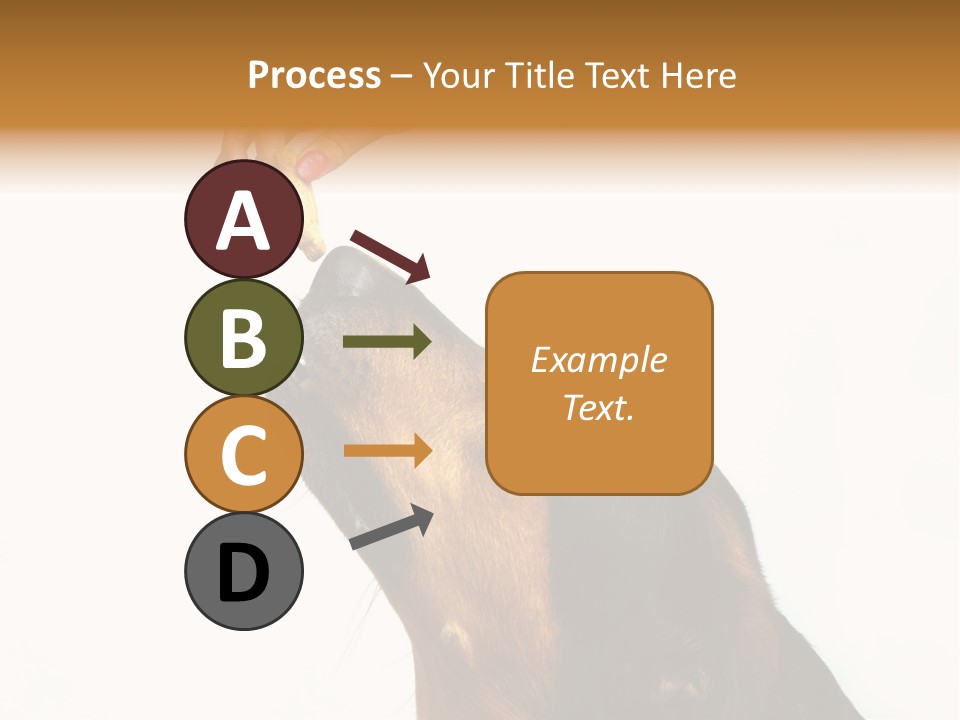 Beauty And The Beast PowerPoint Template