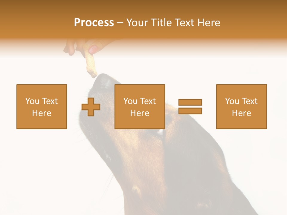 Beauty And The Beast PowerPoint Template