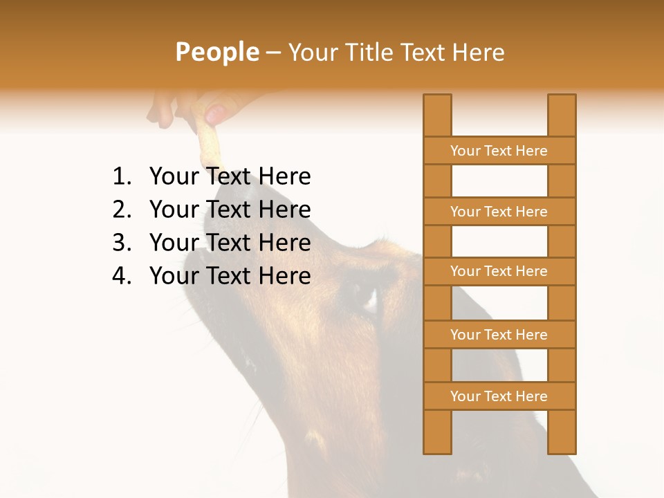 Beauty And The Beast PowerPoint Template